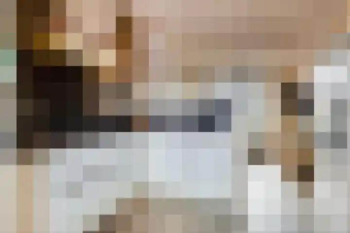 Schout Coxstraat 1 Gemert thumbnail 7