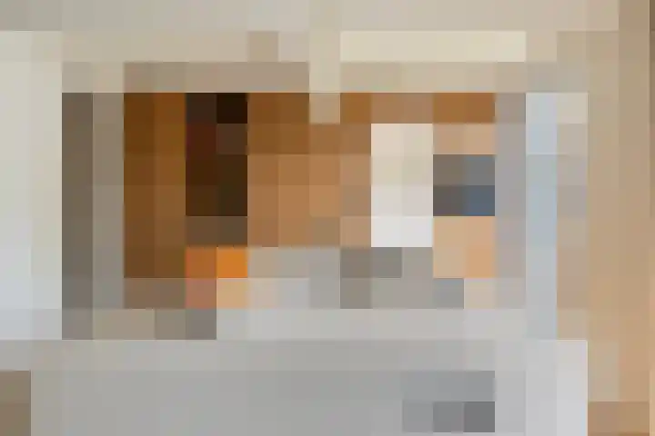 Schout Crillaertstraat 15 Tilburg thumbnail 20