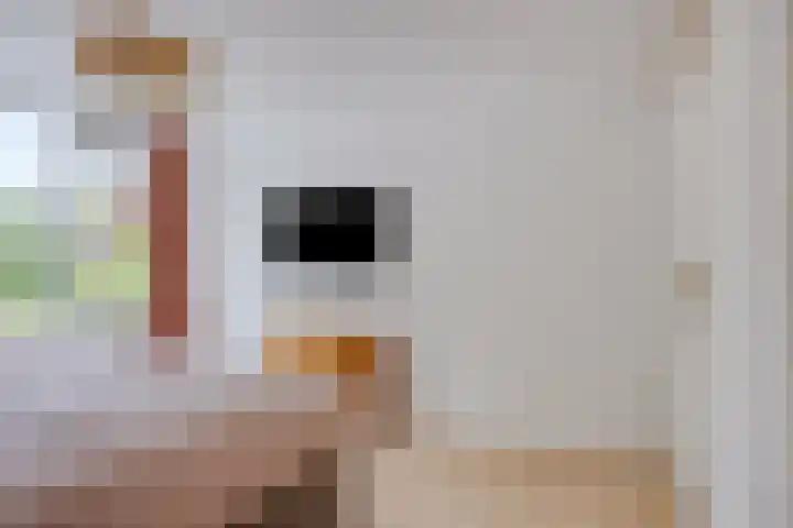 Schout Crillaertstraat 15 Tilburg thumbnail 31