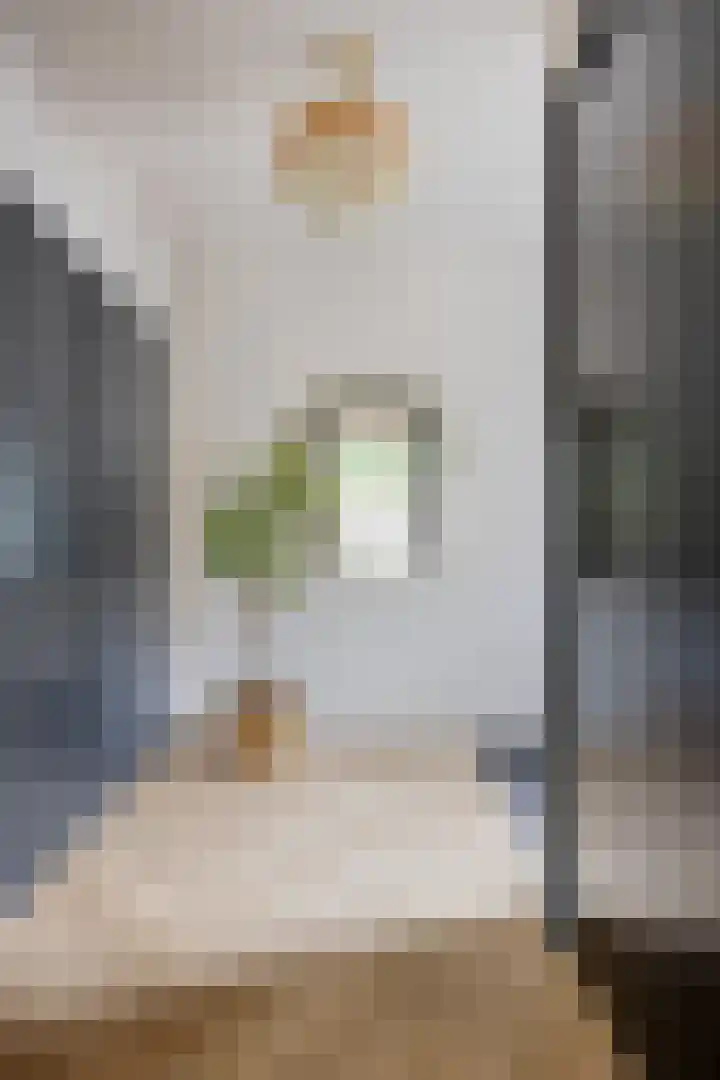 Schout Crillaertstraat 15 Tilburg thumbnail 5