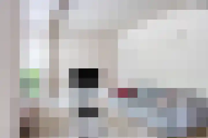Schout Crillaertstraat 15 Tilburg thumbnail 8