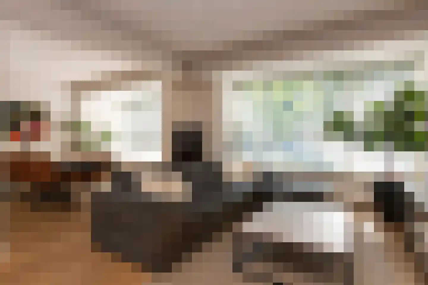 Schout Crillaertstraat 17 Tilburg thumbnail 17