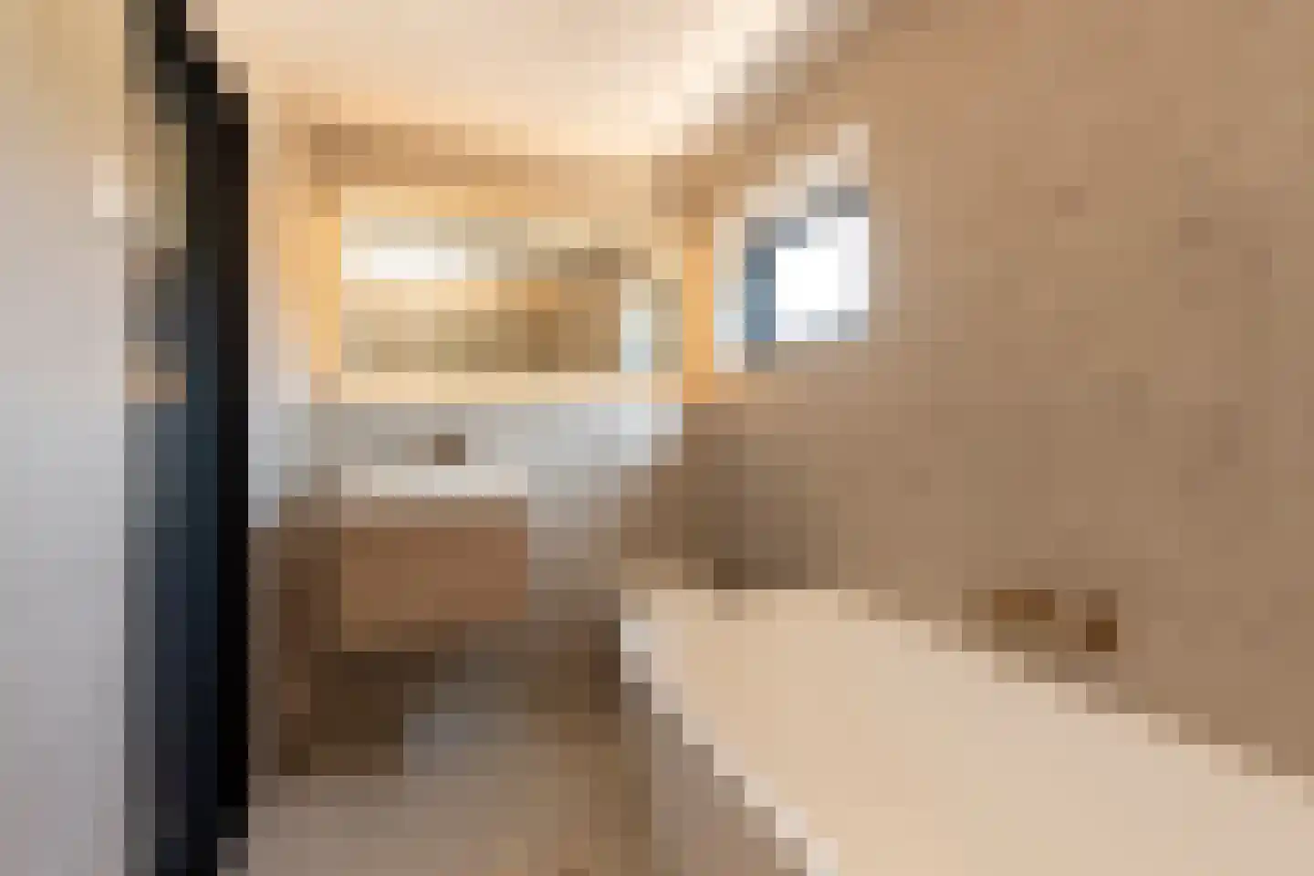 Schout Crillaertstraat 17 Tilburg thumbnail 27