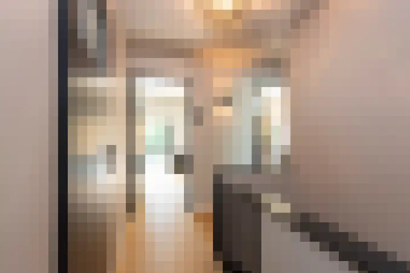Schout Crillaertstraat 17 Tilburg thumbnail 28