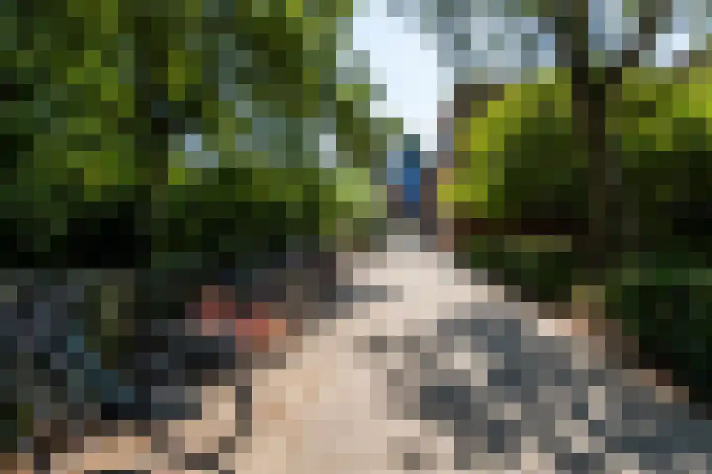 Schout Crillaertstraat 17 Tilburg thumbnail 42