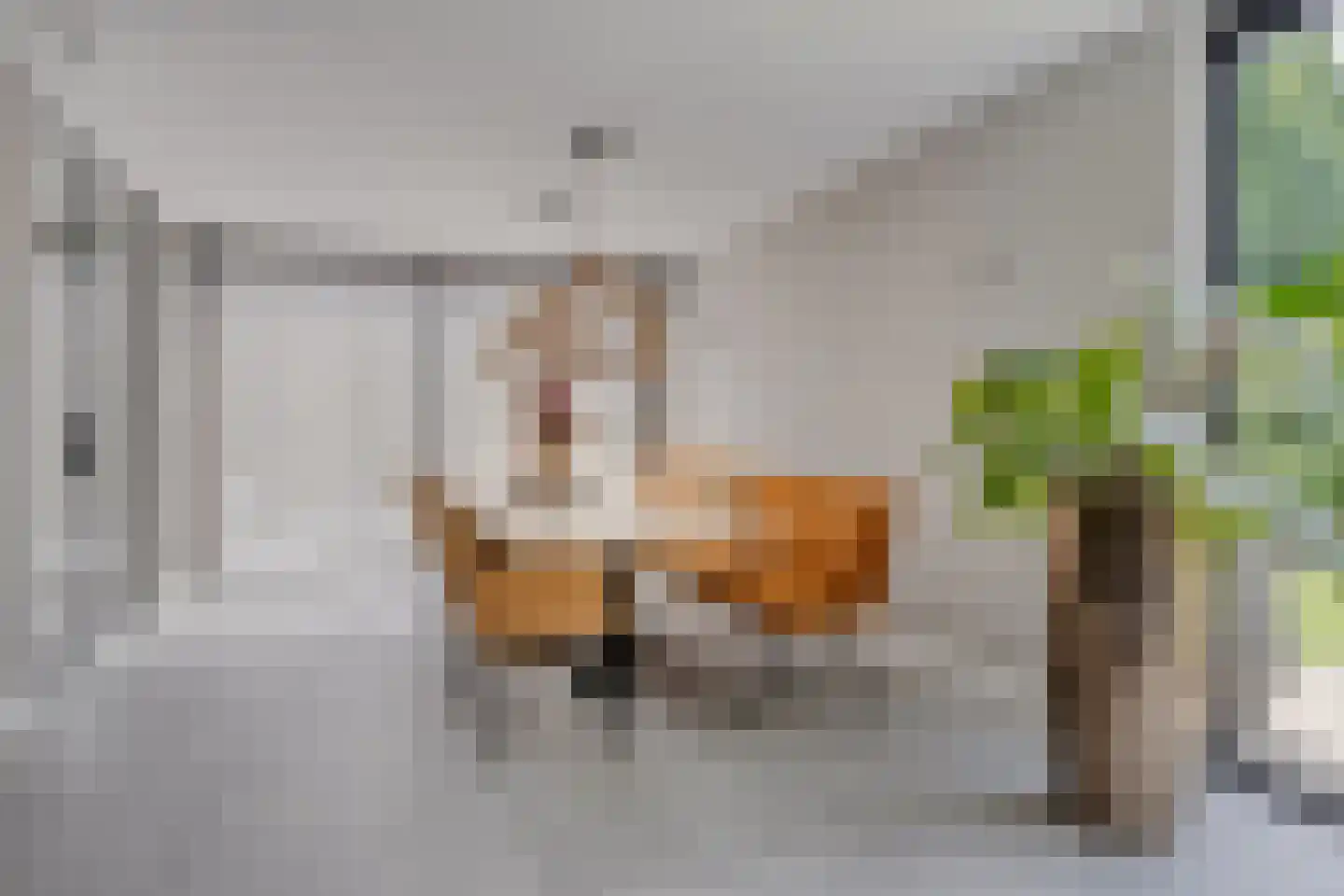 Schout Crillaertstraat 3 Tilburg thumbnail 12