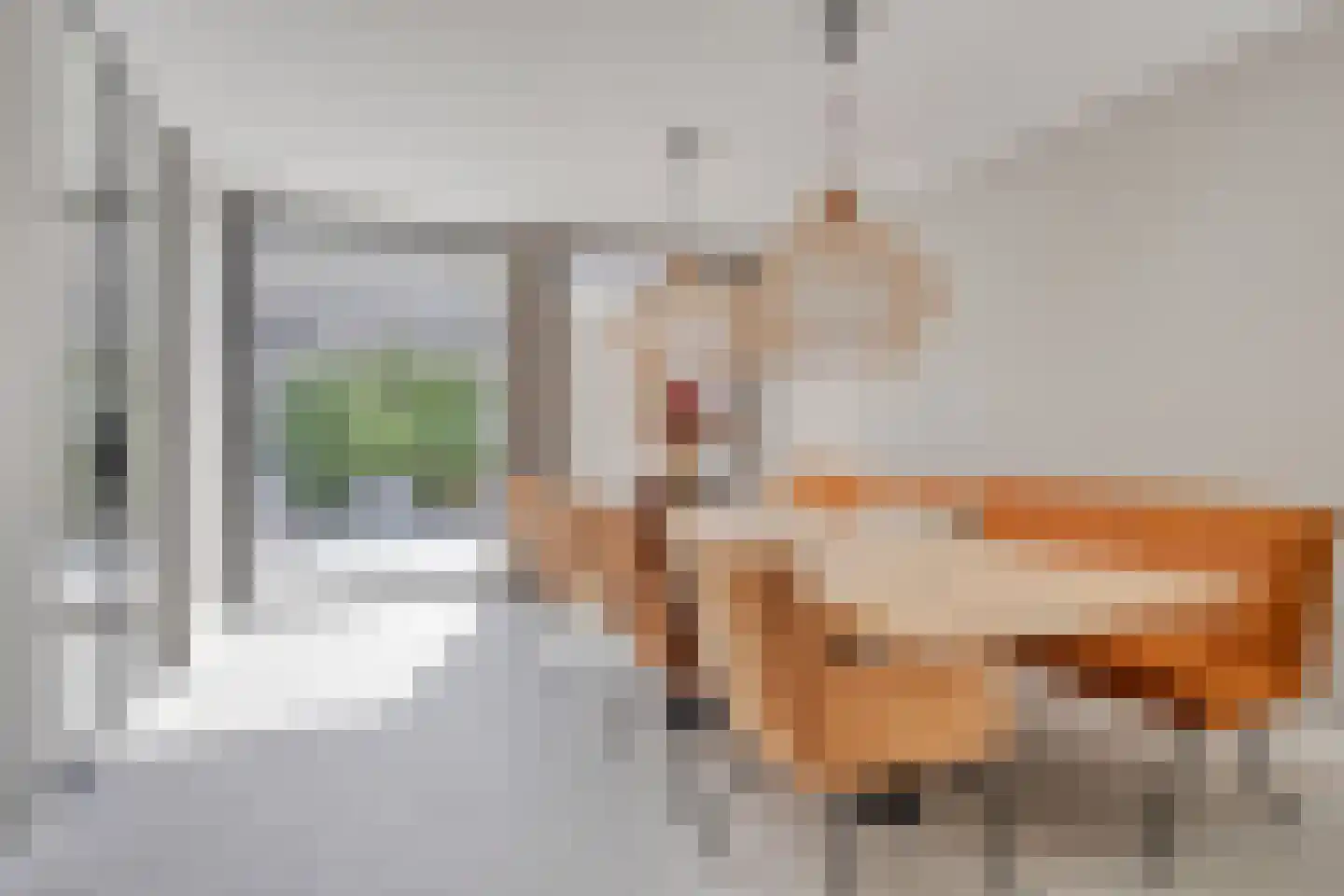 Schout Crillaertstraat 3 Tilburg thumbnail 13
