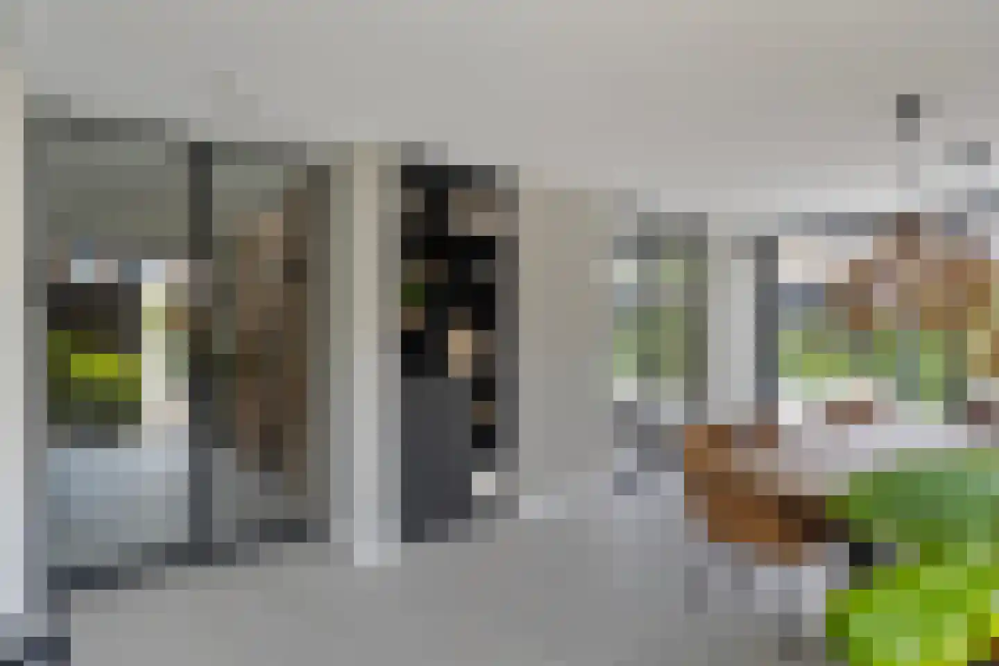 Schout Crillaertstraat 3 Tilburg thumbnail 17