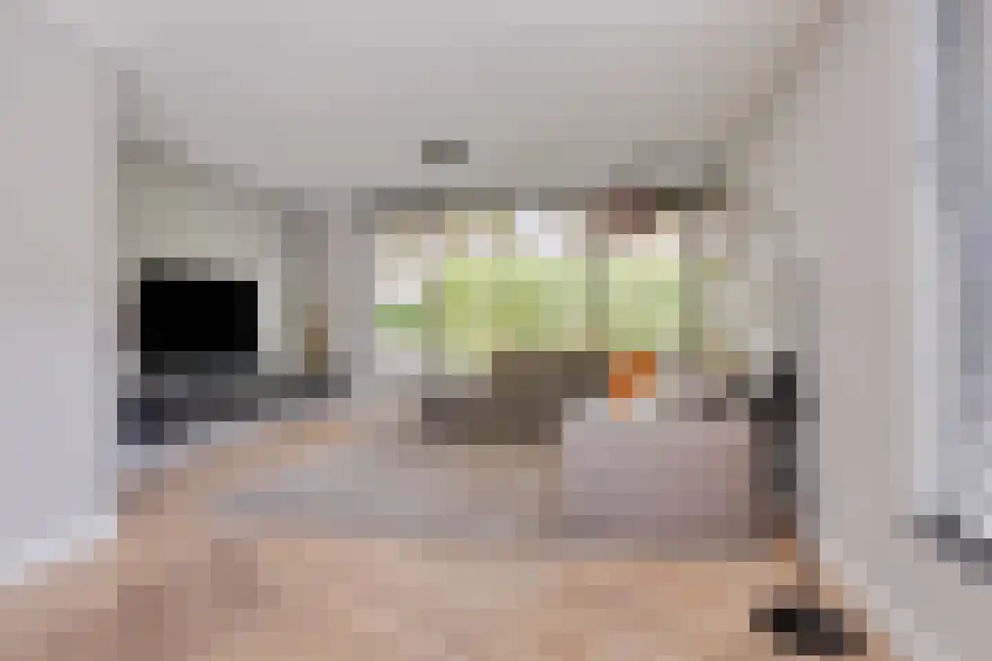 Schout Crillaertstraat 3 Tilburg thumbnail 18