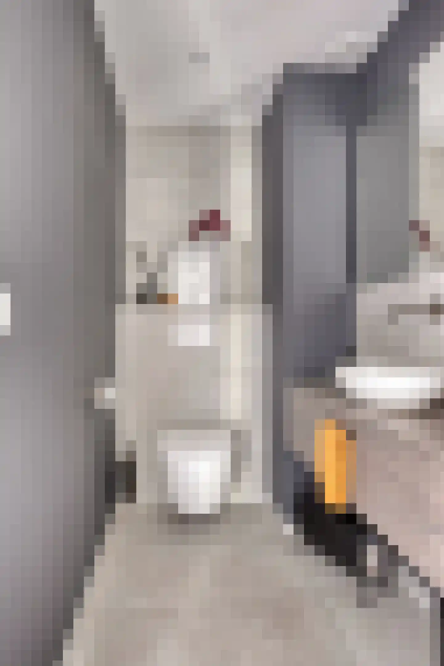 Schout Crillaertstraat 3 Tilburg thumbnail 25