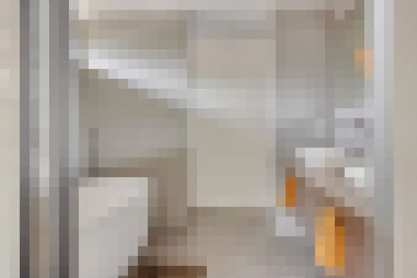 Schout Crillaertstraat 3 Tilburg thumbnail 34