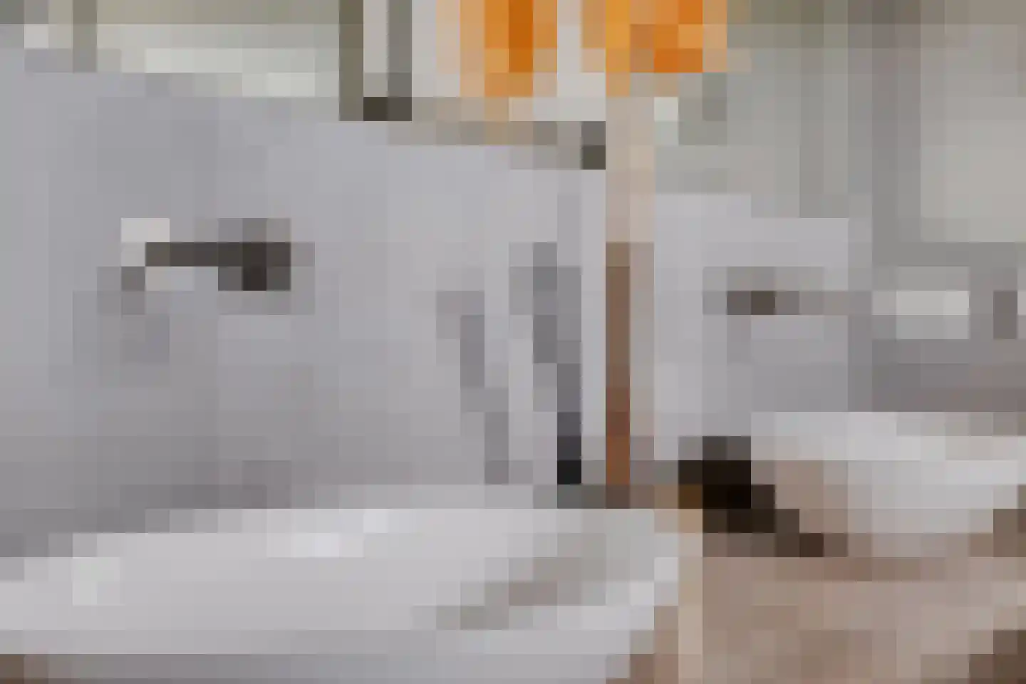 Schout Crillaertstraat 3 Tilburg thumbnail 37