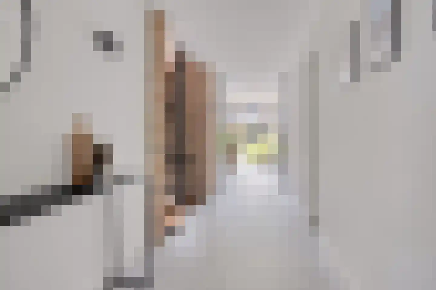 Schout Crillaertstraat 3 Tilburg thumbnail 4