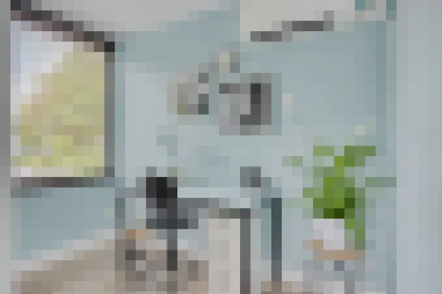 Schout Crillaertstraat 3 Tilburg thumbnail 42