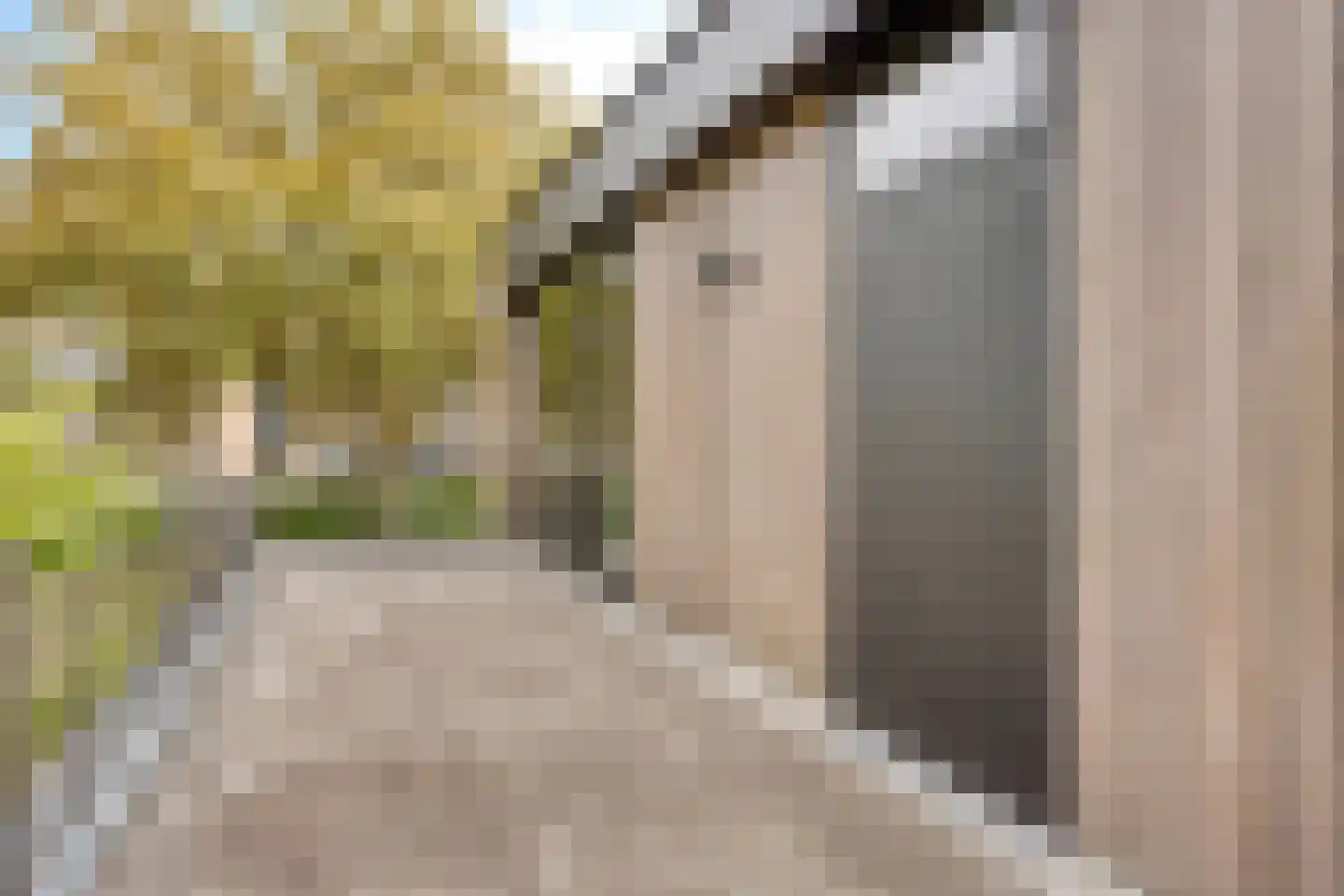 Schout Crillaertstraat 3 Tilburg thumbnail 46