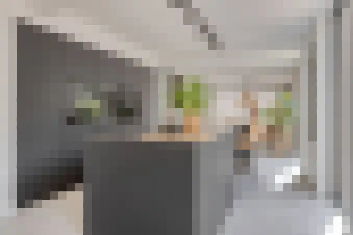 Schout Crillaertstraat 3 Tilburg thumbnail 5