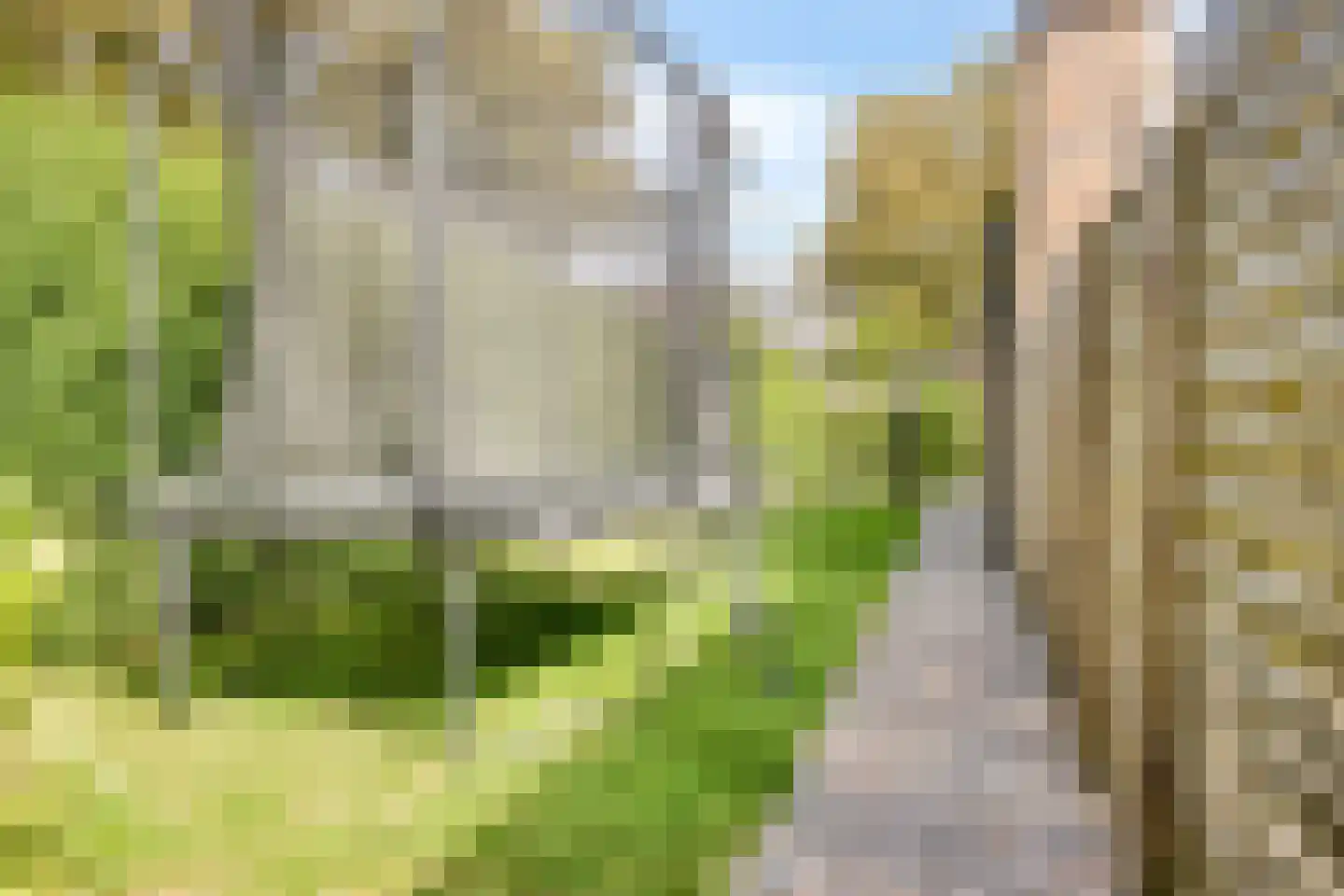 Schout Crillaertstraat 3 Tilburg thumbnail 64