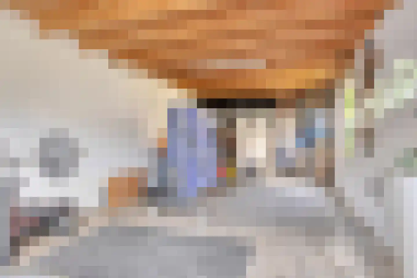 Schout Crillaertstraat 3 Tilburg thumbnail 67