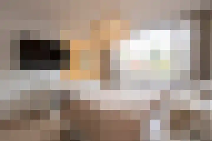Schout Crillaertstraat 7 Tilburg thumbnail 31