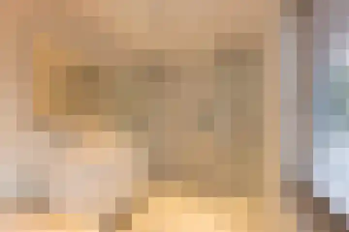 Schout Crillaertstraat 7 Tilburg thumbnail 33