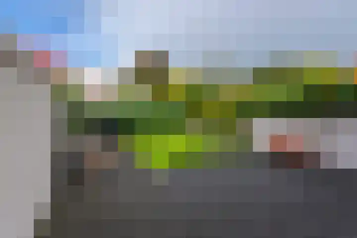 Schout Crillaertstraat 7 Tilburg thumbnail 35