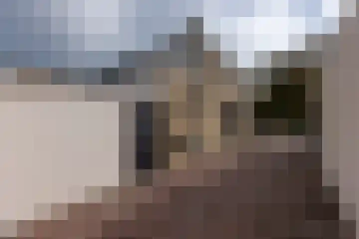 Schout Crillaertstraat 7 Tilburg thumbnail 38