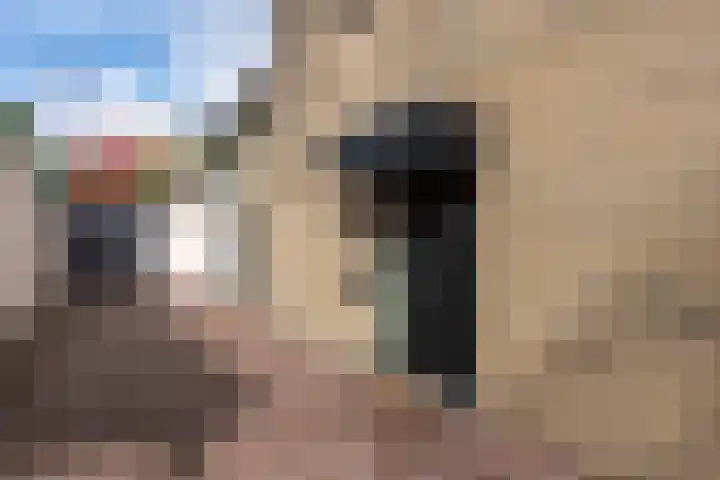 Schout Crillaertstraat 7 Tilburg thumbnail 8