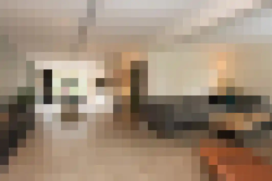 Schout Crillaertstraat 9 Tilburg thumbnail 16