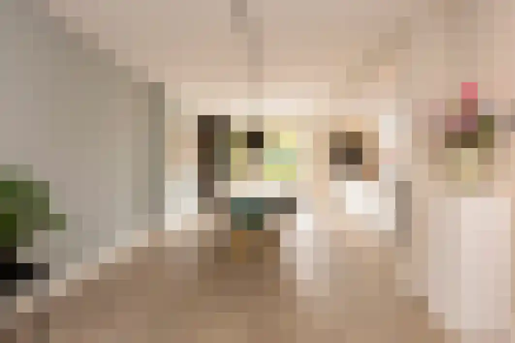 Schout Crillaertstraat 9 Tilburg thumbnail 19