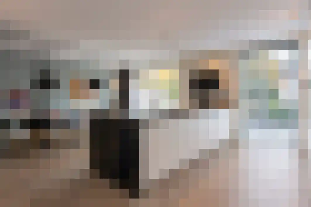 Schout Crillaertstraat 9 Tilburg thumbnail 21