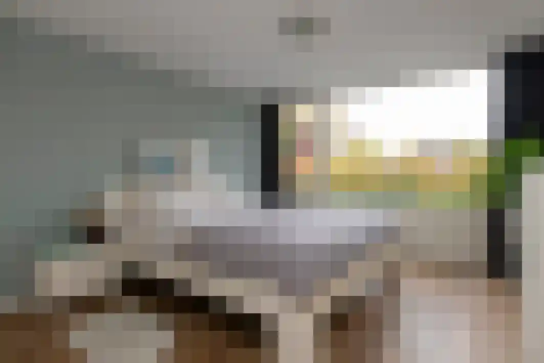 Schout Crillaertstraat 9 Tilburg thumbnail 30