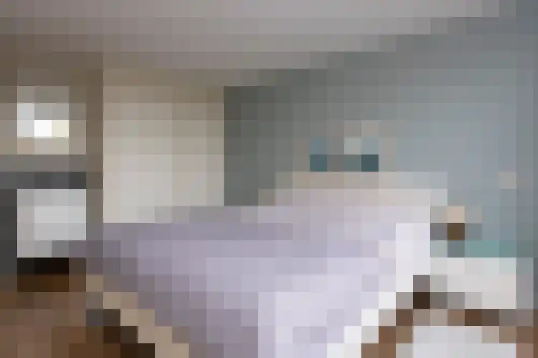 Schout Crillaertstraat 9 Tilburg thumbnail 31