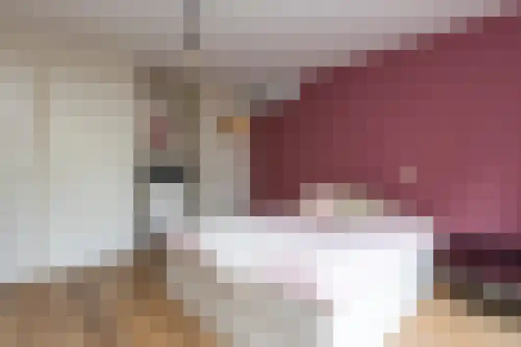 Schout Crillaertstraat 9 Tilburg thumbnail 32