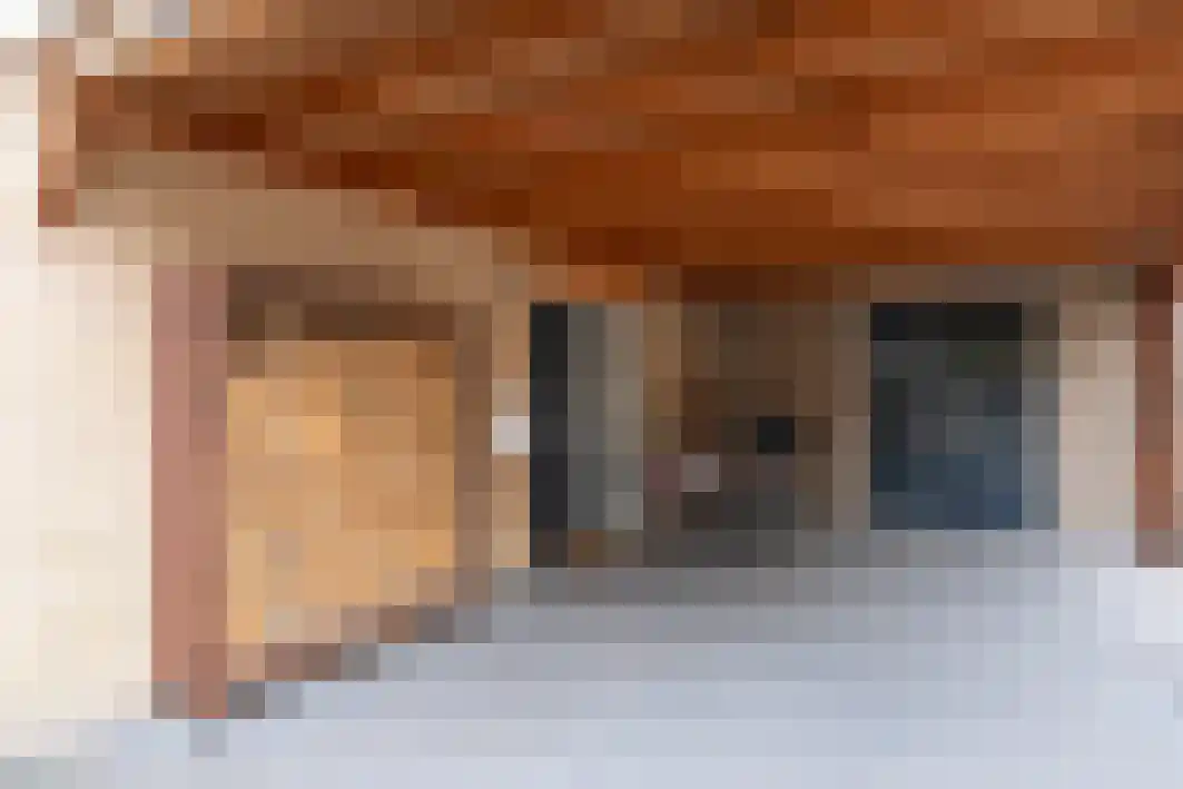 Schout Crillaertstraat 9 Tilburg thumbnail 7