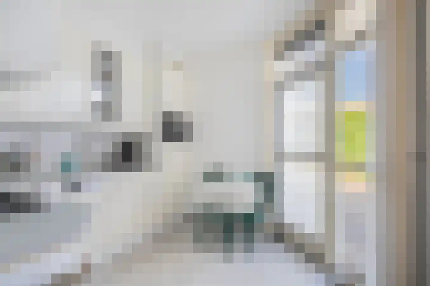 Schout Curtiuslaan 22 Nuenen thumbnail 16