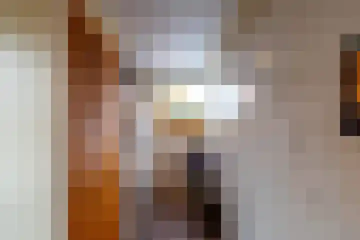 Schout de Boerstraat 1 Ten Boer thumbnail 20