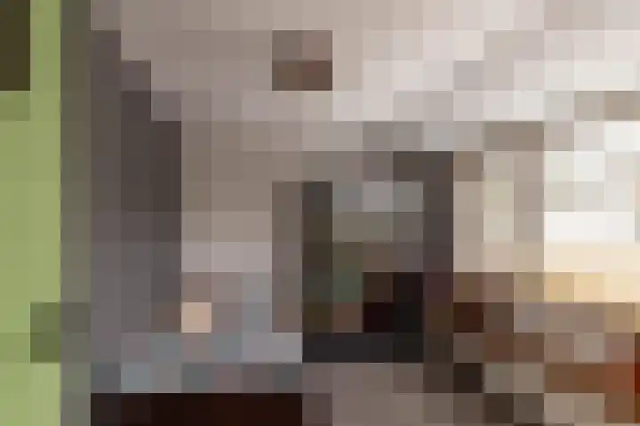 Schout de Boerstraat 1 Ten Boer thumbnail 24