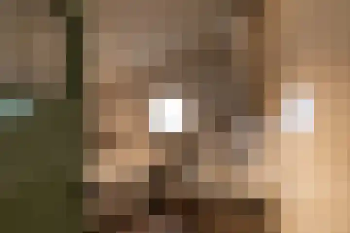 Schout de Boerstraat 1 Ten Boer thumbnail 26