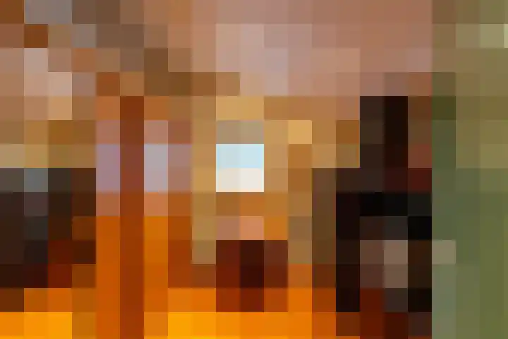 Schout de Boerstraat 1 Ten Boer thumbnail 31