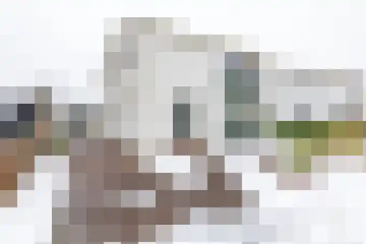 Schout de Boerstraat 1 Ten Boer thumbnail 37