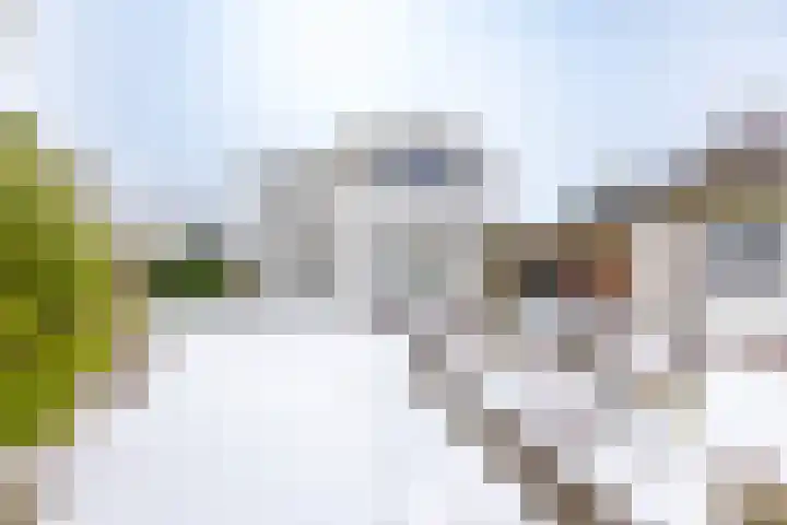 Schout de Boerstraat 1 Ten Boer thumbnail 51