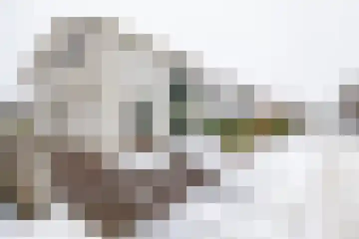Schout de Boerstraat 1 Ten Boer thumbnail 7