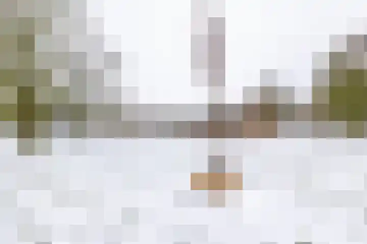 Schout de Boerstraat 1 Ten Boer thumbnail 8