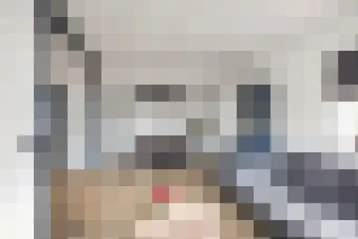 Schout de Boerstraat 3 Ten Boer thumbnail 18