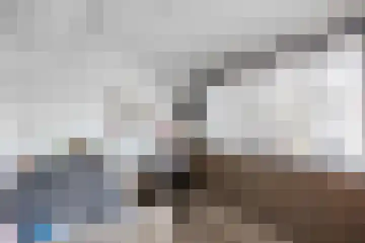 Schout de Boerstraat 3 Ten Boer thumbnail 26