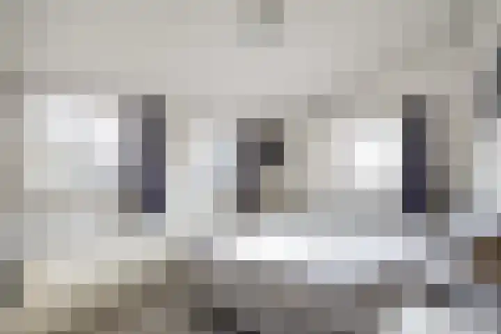 Schout de Boerstraat 3 Ten Boer thumbnail 35