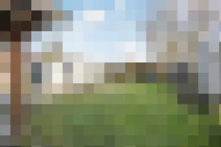 Schout de Boerstraat 3 Ten Boer thumbnail 38