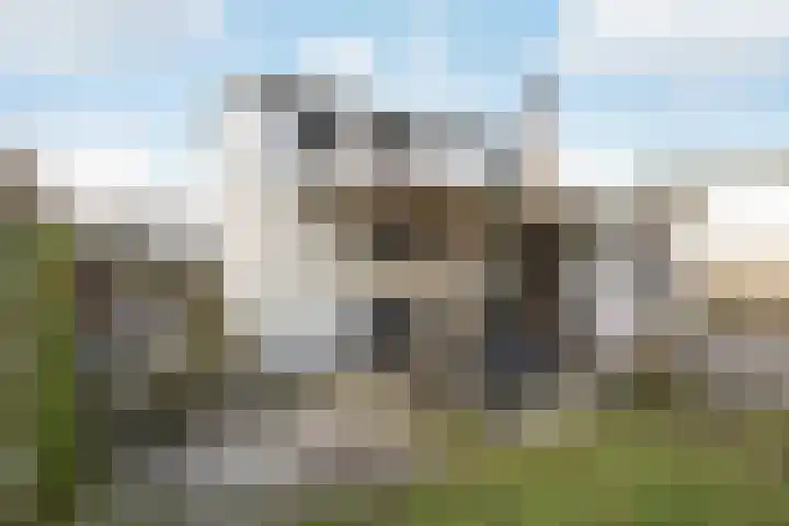 Schout de Boerstraat 3 Ten Boer thumbnail 42