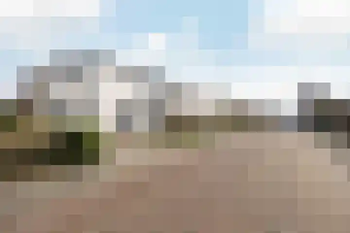 Schout de Boerstraat 3 Ten Boer thumbnail 6