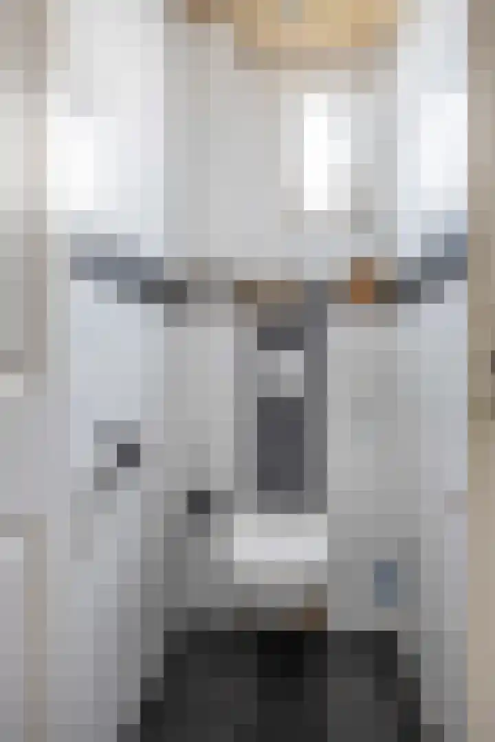 Schout de Boerstraat 3 Ten Boer thumbnail 8